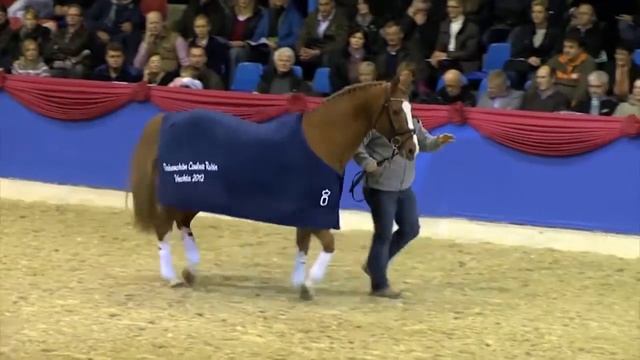 Couleur Rubin 2017 (engl) смотреть онлайн
