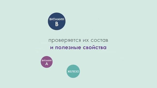 Wellness Контроль якості смотреть онлайн