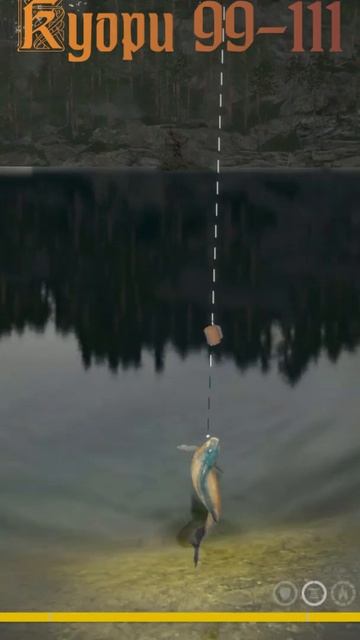 Два по цене одного! #рр4 #русскаярыбалка4 #лещнафидер #куори #капитанёрш #игры смотреть онлайн