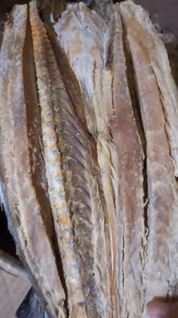 Jual ikan asin tenggiri #Shorts смотреть онлайн