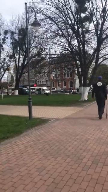 Калининградцы сняли на видео отлов бездомных собак перед ЧМ-2018 смотреть онлайн