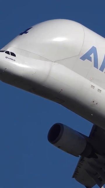 Airbus A300 Beluga Powerful Departure out of Toulouse 🇫🇷 ✈️ #shorts #viral #trending #youtube смотреть онлайн
