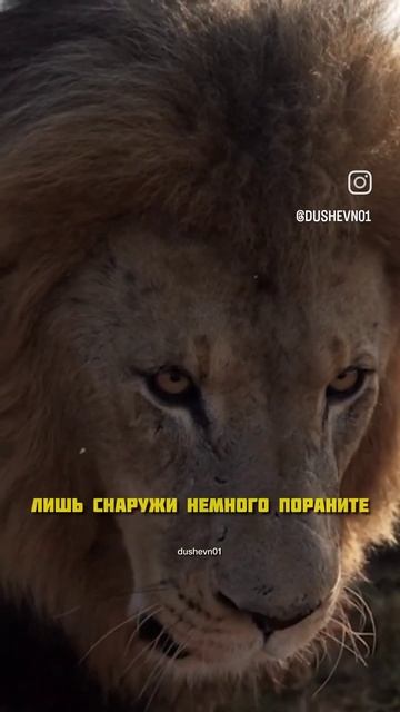 17 июля 2024 г. смотреть онлайн