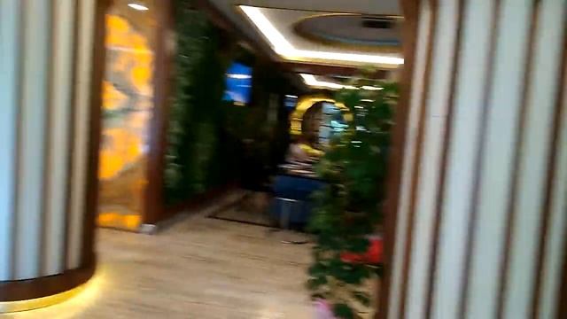 Saphir Hotel 4* смотреть онлайн