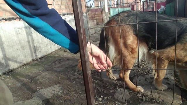Было громко-все поломано! смотреть онлайн