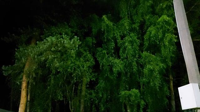 ВЕТЕР СКАЛЕ НЕ ПОМЕХА....Ведьмина изба Инга Хосроева смотреть онлайн