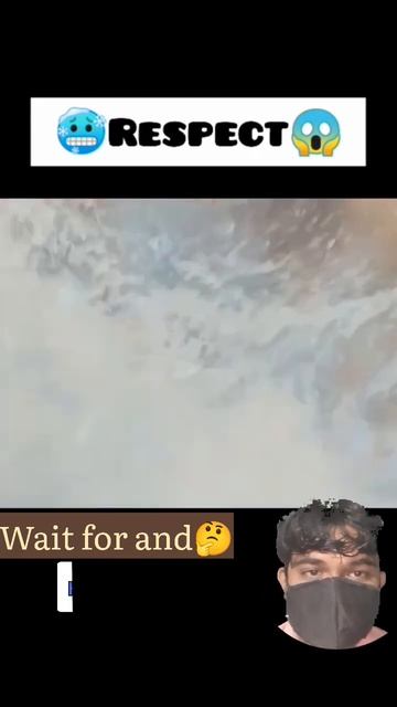 Respect Shorts 🤔 Danger Fish #Shorts #viral #GT #H-M_1451 #respect #ship #fish #shortsfeed