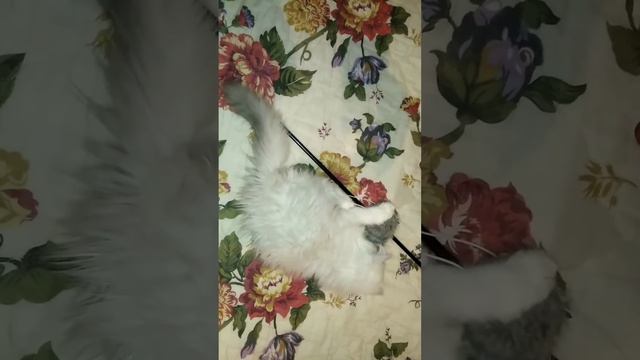 самый Добрый в Мире Малыш. смотреть онлайн