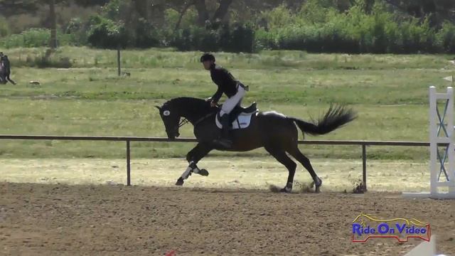 045S Attila Rajnai on Harry Houdini Intermediate Show Jumping Twin Rivers Ranch April 2017 смотреть онлайн