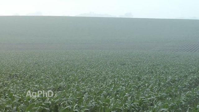 Foliar Feeding #949 (Air Date 6-12-16) смотреть онлайн