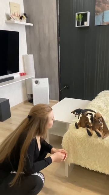 Кофейные кролики