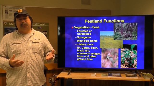 Bogs & Fens with Dr Randy Kolka смотреть онлайн