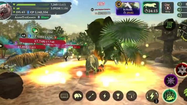 The Wolf - White Tiger Champion In Featured Wild Tundra 🏆 смотреть онлайн