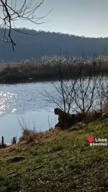 Игры разума...