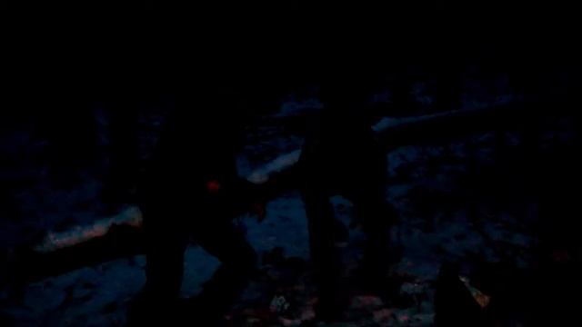 Українська народна пісня. Ой, чий то кінь стоїть. смотреть онлайн