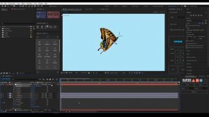 Анимация бабочки в After Effects | Butterfly animation