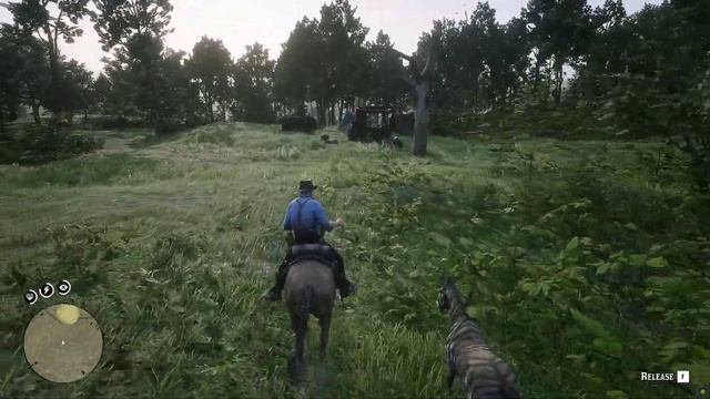 Is this Zebra or Donkey? смотреть онлайн