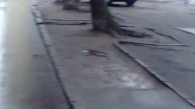 как мы идем в кино на стар варс 7 от 17 12 15  киноварь