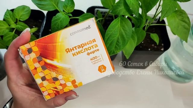 1 ТАБЛЕТКА и ЛЮБАЯ РАССАДА РАСТЕТ как на ДРОЖЖАХ, для МОЩНОЙ КОРНЕВОЙ смотреть онлайн