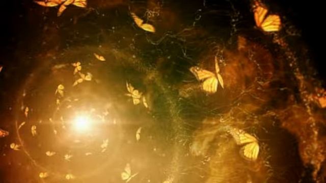 The Butterfly Collective ~ Together in Oneness via galaxygirl смотреть онлайн