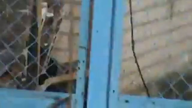 Хрящеватое октябрь 2014 2 смотреть онлайн