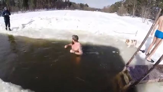 Заплывы 11 марта