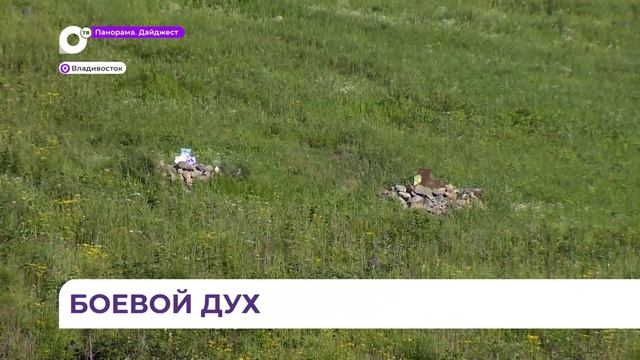 Олег Кожемяко оценил техническое оснащение и подготовку бойцов отряда «Тигр» смотреть онлайн