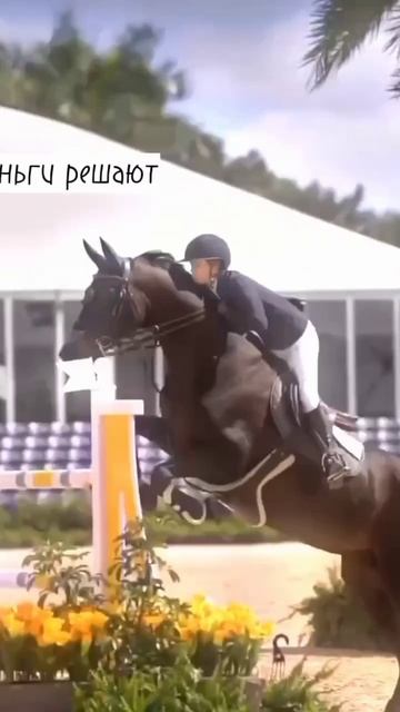 #конныйспорт #ульяновск #красота #конник #эдит #реек #рек #хоббихорсинг #реки #лошади увы но это та смотреть онлайн