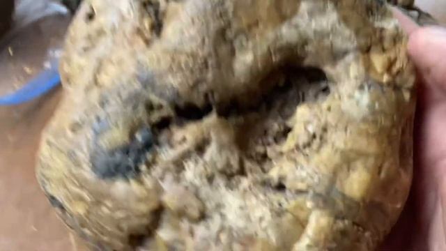 Jasper, Petrified Wood and Opal - What did I Find?! смотреть онлайн