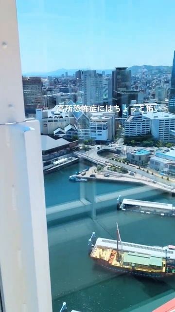 【兵庫】リニューアルされた神戸のランドマークがめっちゃ楽しかった【おでかけ】#shorts #ポートタワー #観光