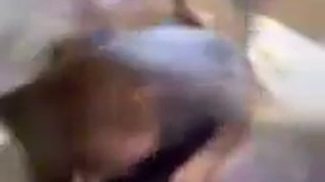 big camera man gets attacked смотреть онлайн