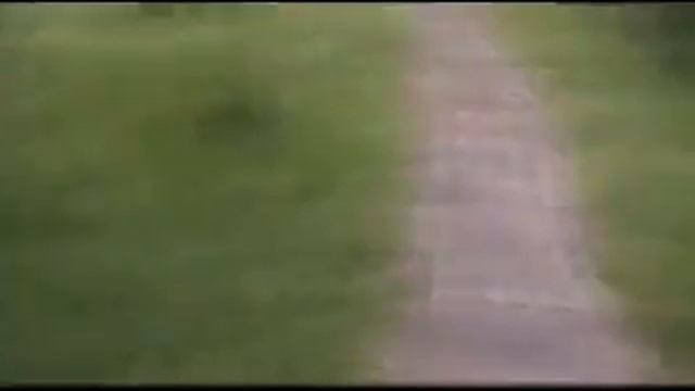 Lily Potter, the jumping dog! Shake it! смотреть онлайн