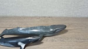 Обзор collecta кит минке