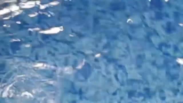 Просба смотреть онлайн