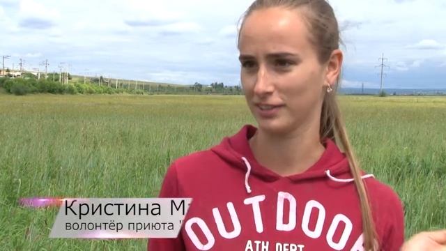 Пушистое счастье - Грета. 8 Серия смотреть онлайн