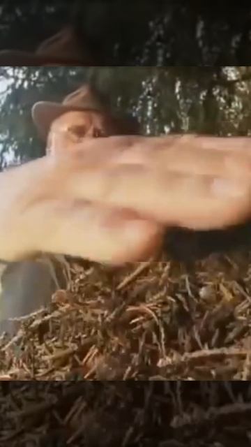 Муравьи Как избавиться Зепп Хольцер смотреть онлайн