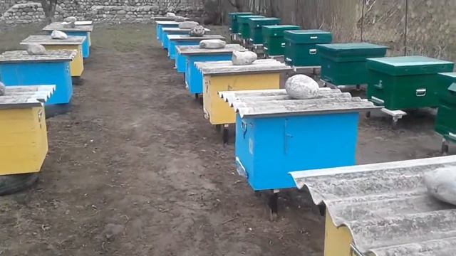 Гибель пчел смотреть онлайн