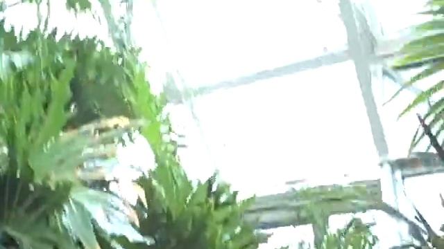 Blue Morpho! смотреть онлайн