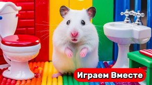 Лабиринт для Хомяка ! ПОПИТ ЛАБИРИНТ с ХИТРЫМИ ЛОВУШКАМИ ! Умный Хомяк ! Видео для детей