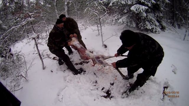 как обдирают косулю смотреть онлайн