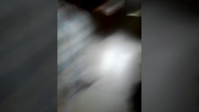 Вот бешеная собака смотреть онлайн