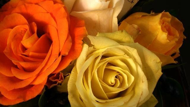 Лучшие русские песни и видео - класс! смотреть онлайн