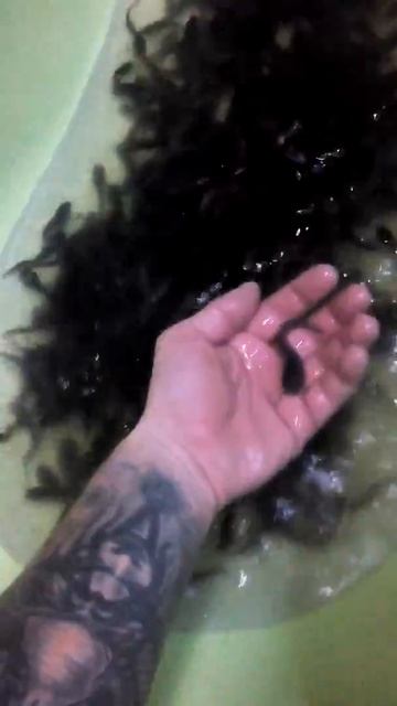 Малек клариевый сом Африканский сом мраморный угревидный иорданский(1) смотреть онлайн