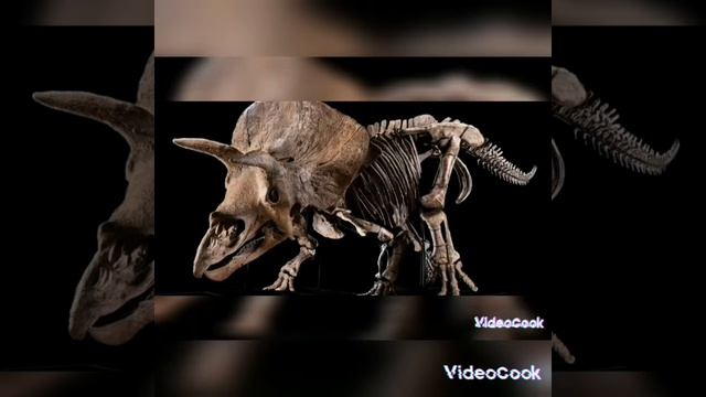 Gran Mundo Dinosaurio !Conoces al Triceratops? смотреть онлайн
