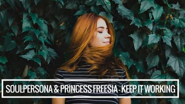 Soulpersona & Princess Freesia - Keep It Working