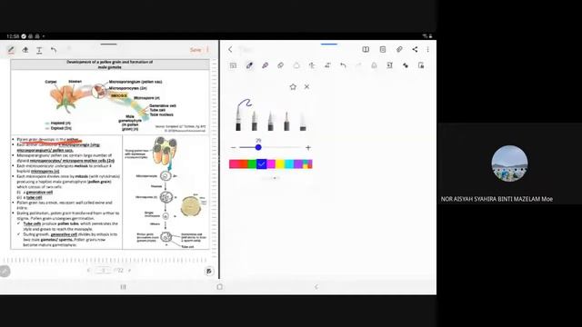 C9. PLANT REPRODUCTION смотреть онлайн