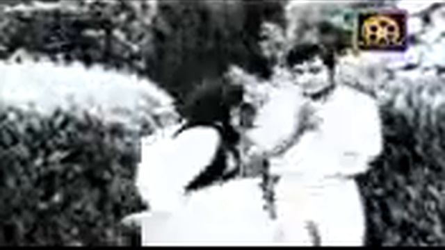 yon tera rhoot jana ahmad rushdi film taqdir kahan le ayi смотреть онлайн