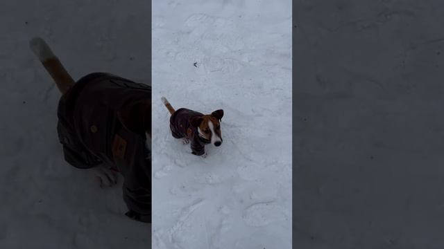 Хулиганы смотреть онлайн