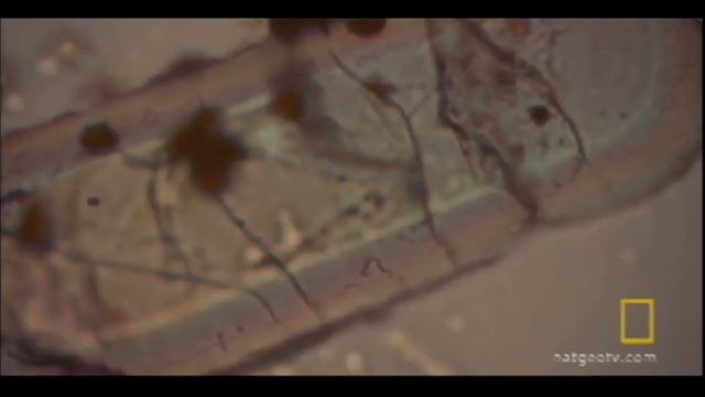 Earth's First Rocks | National Geographic смотреть онлайн