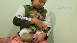 Lovely Attitude Monkey, Lyly Worry and Take Care Baby Liziqi Help Mom Busy